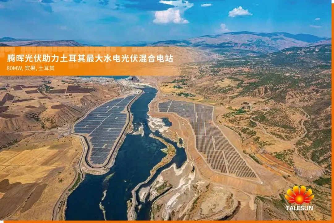 公海彩船6600(中国)官方网站